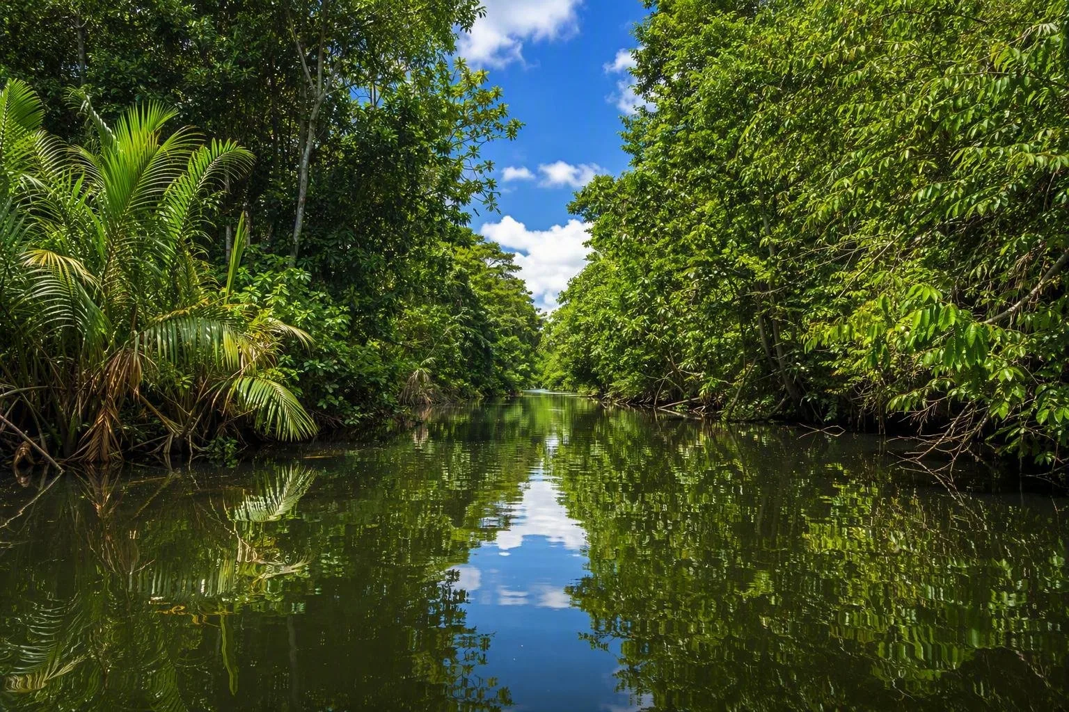 Nationaal Park Tortuguero