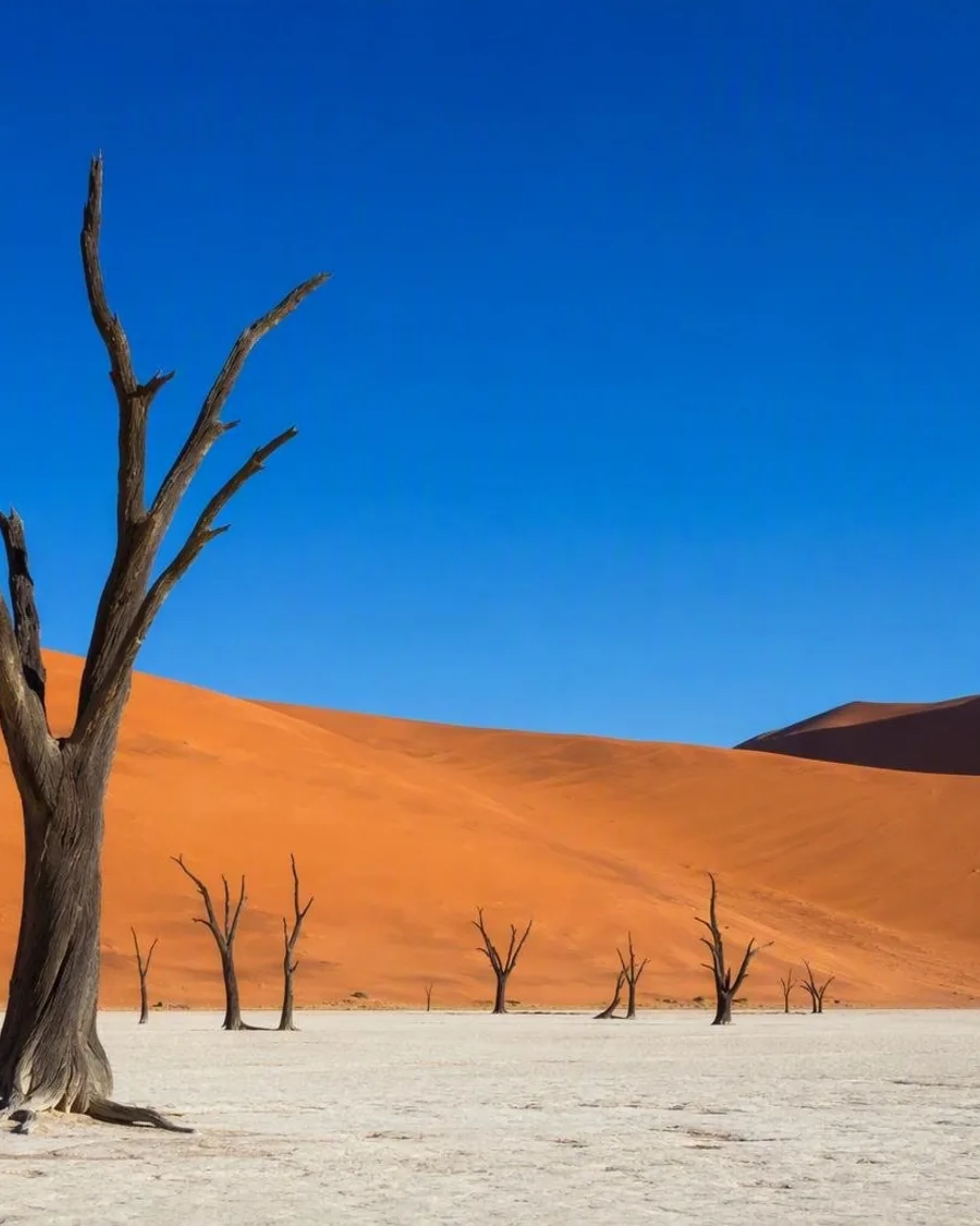 Van wit krijt tot rood zand: tien woestijnen op rang