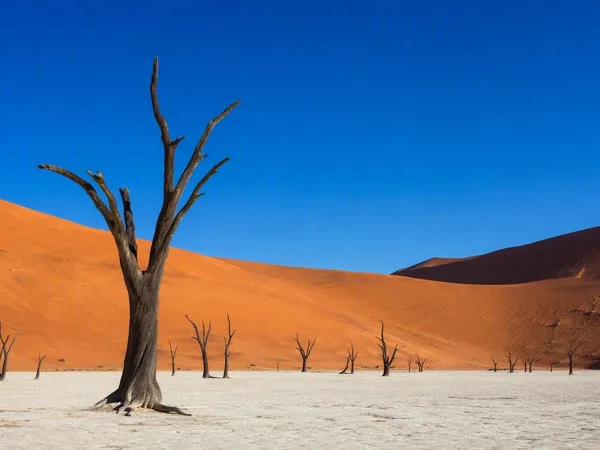 Van wit krijt tot rood zand: tien woestijnen op rang