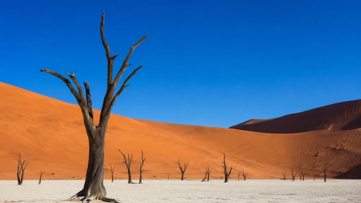Van wit krijt tot rood zand: tien woestijnen op rang