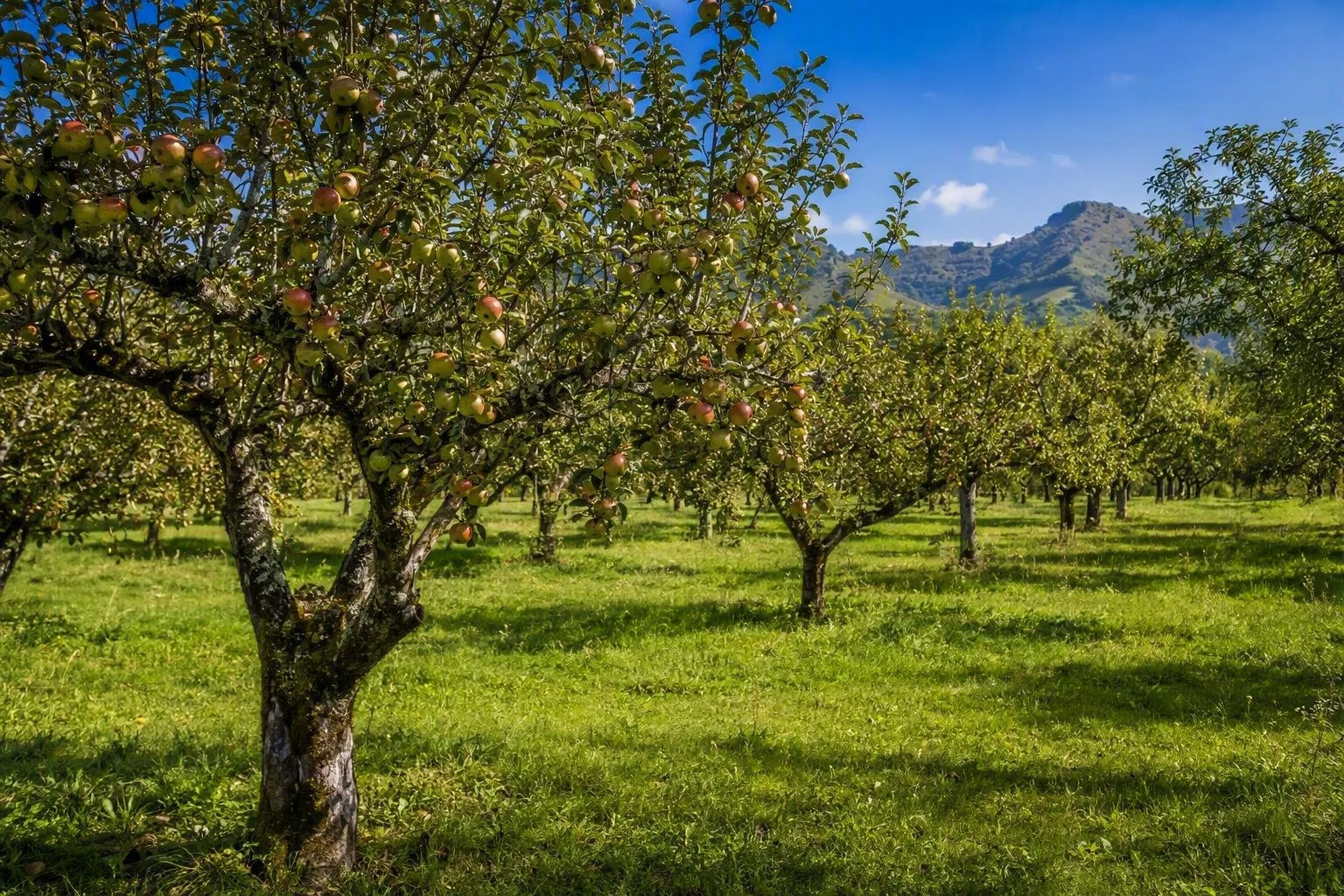 Asturië