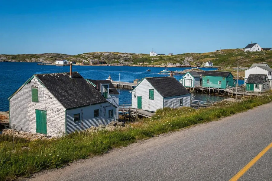 The Best Premises’ historic fishing buildings stand between the road and Fogo Harbour.