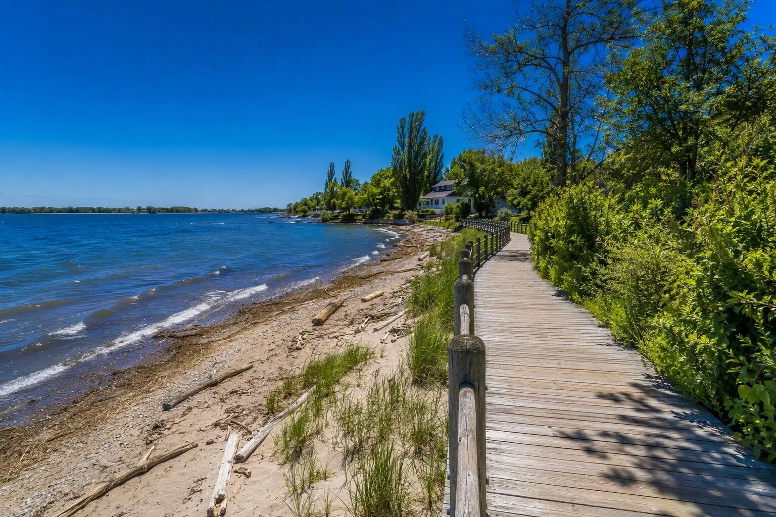 Ward’s Island