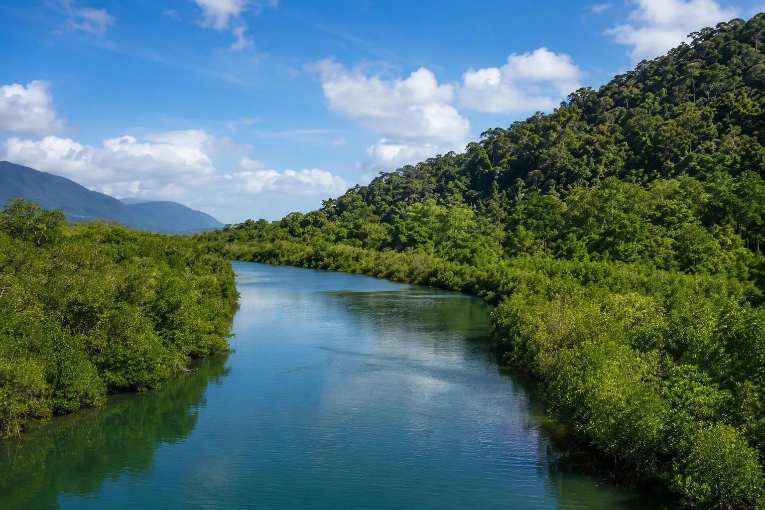 Eastern Kuku Yalanji Country