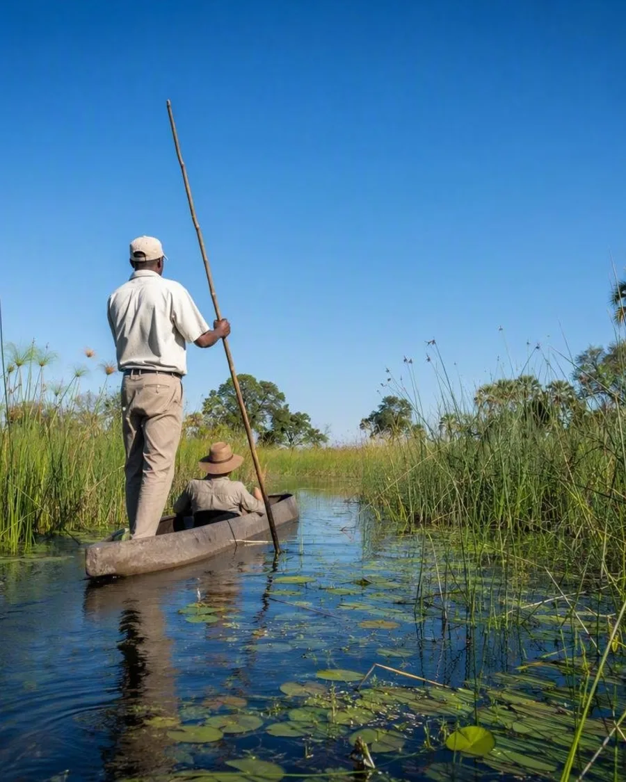 Acht rivierdelta’s, van de Kalahari tot de Río de la Plata