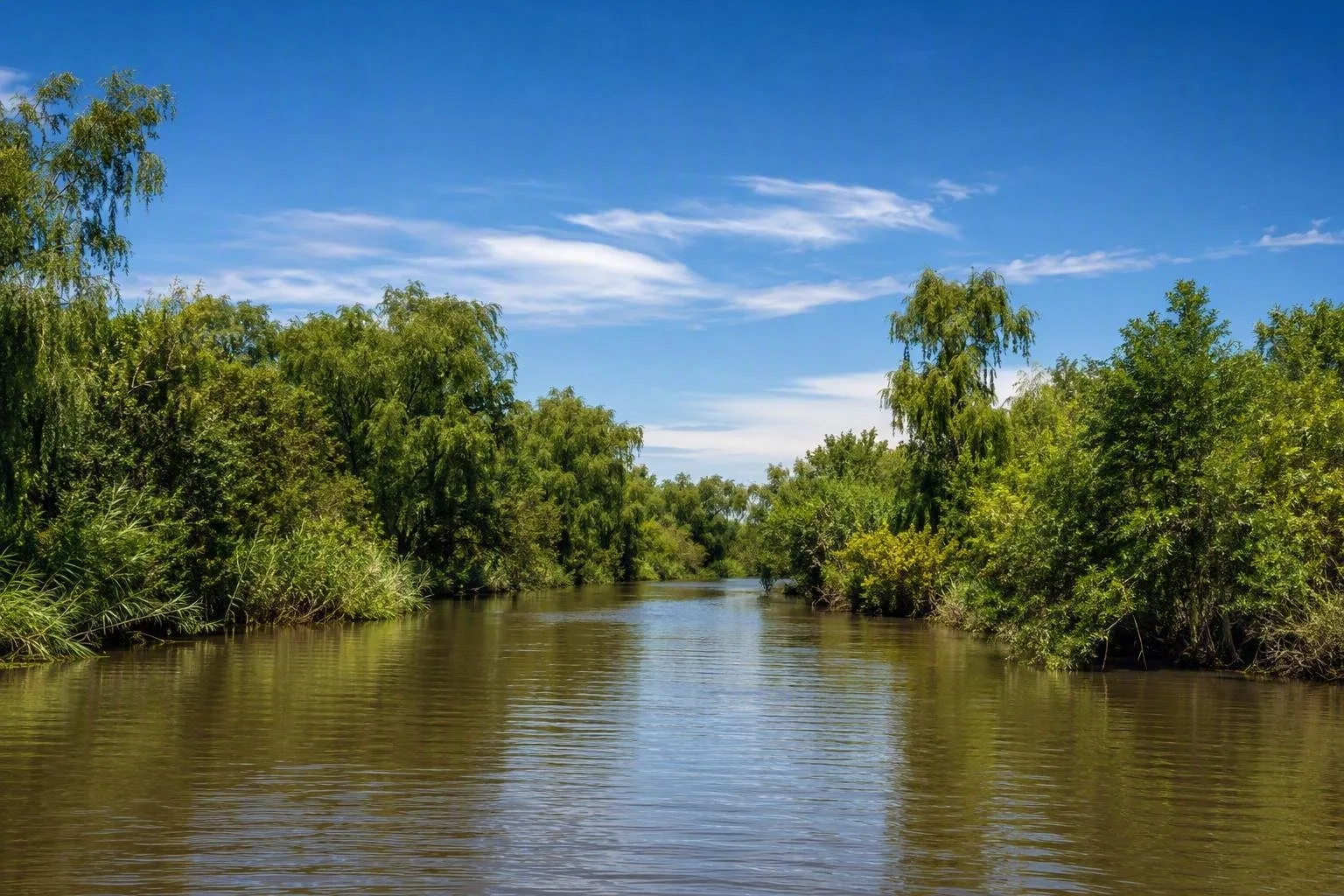 Paraná Delta