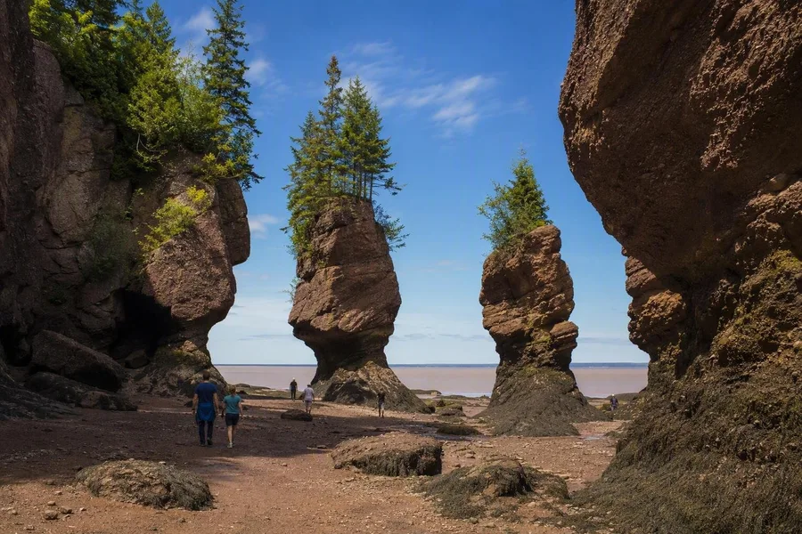 Bezoekers lopen bij laagwater tussen blootliggende zeestapels in Hopewell Rocks Provincial Park.