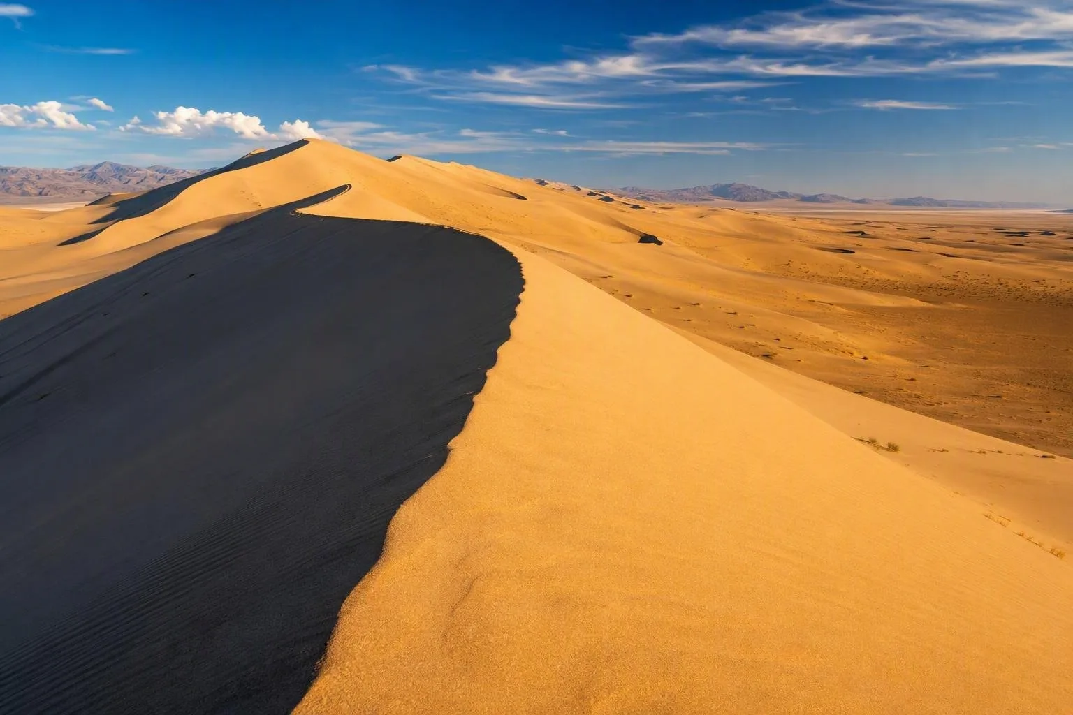 Gobi, Mongolia