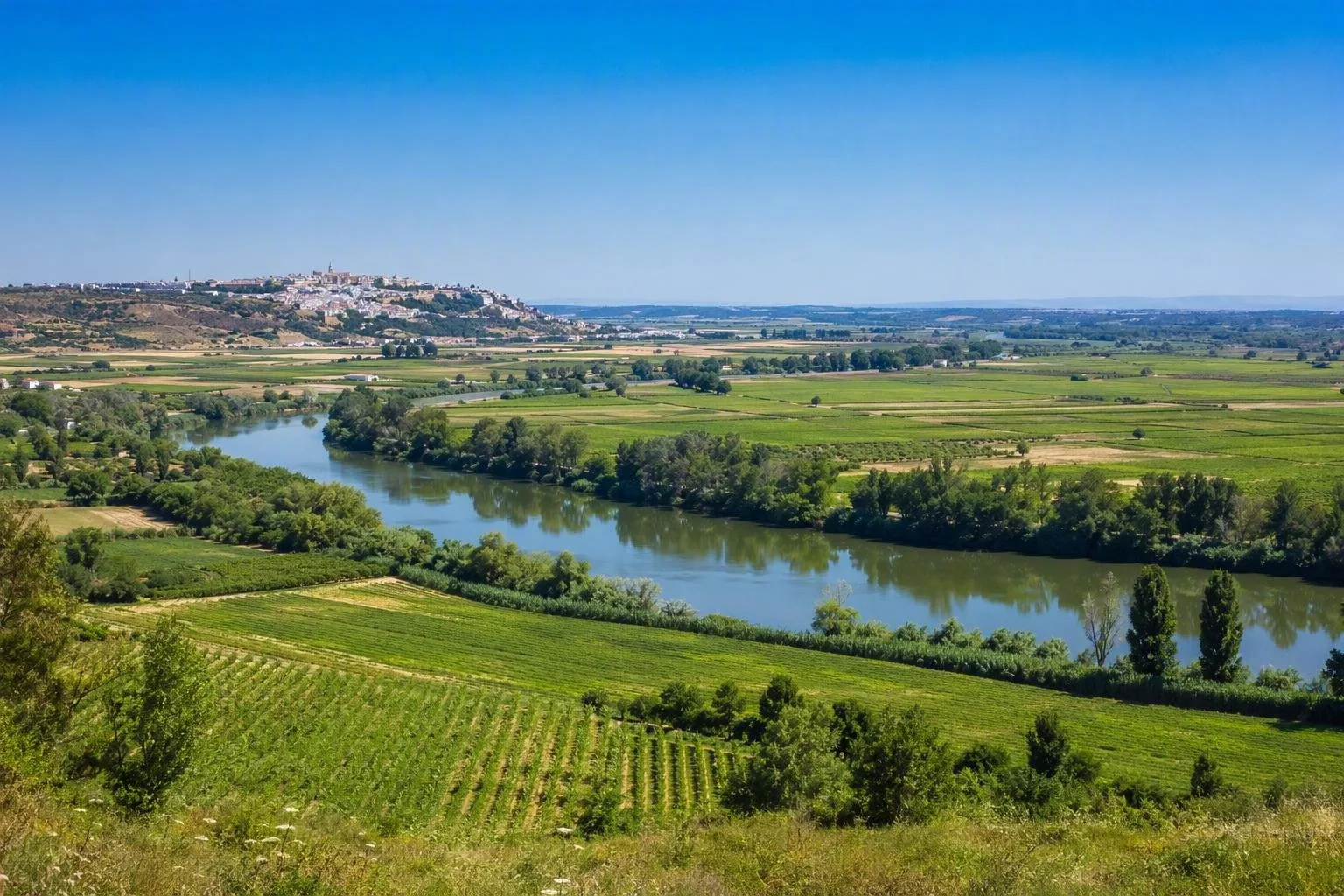Ribatejo