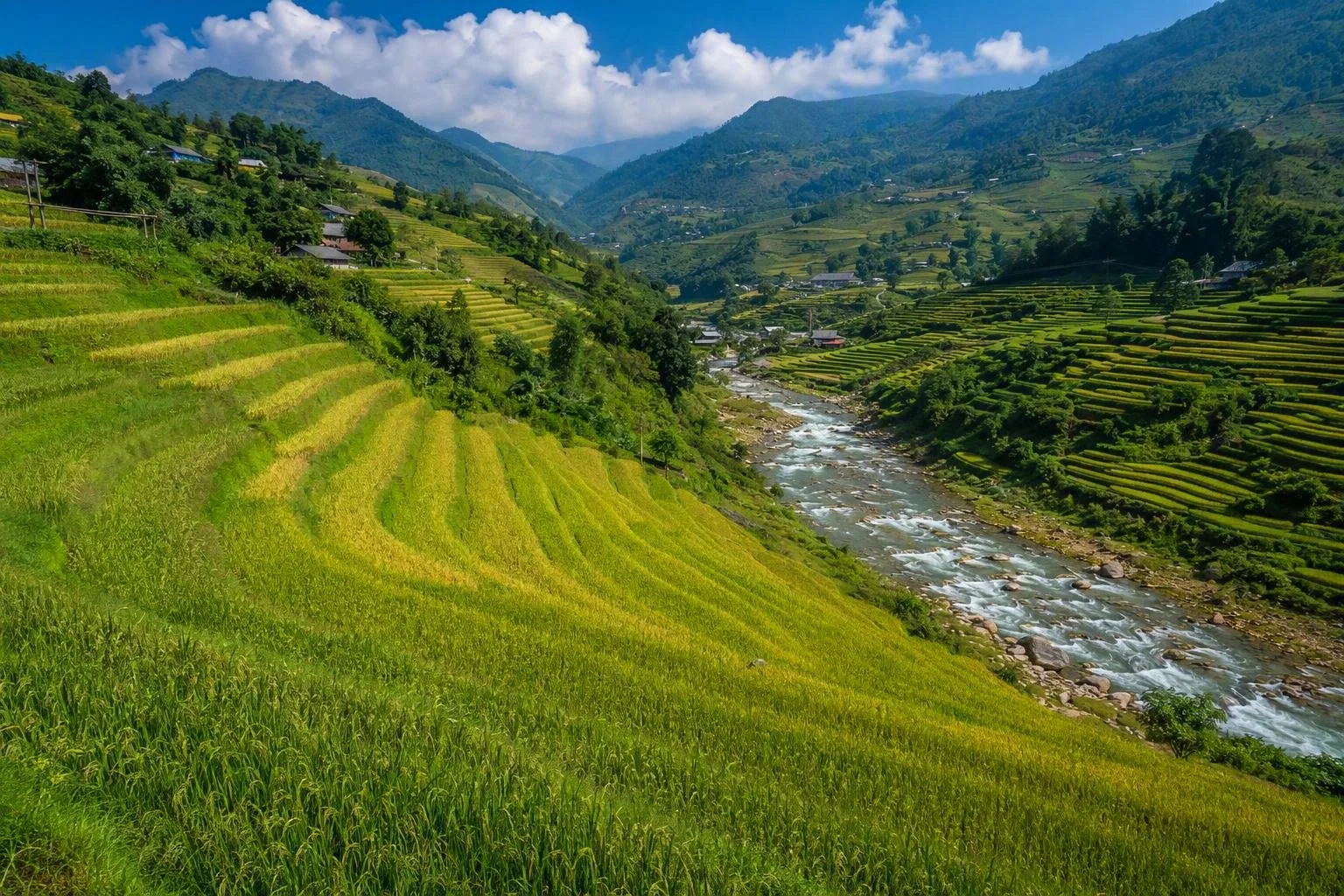 Mường Hoa-vallei