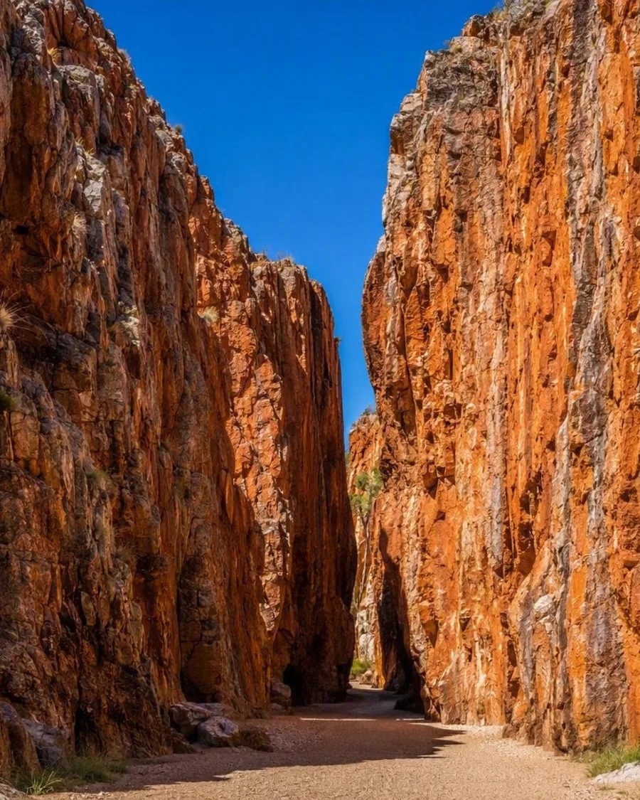 Van Alice Springs naar de kloven van Tjoritja