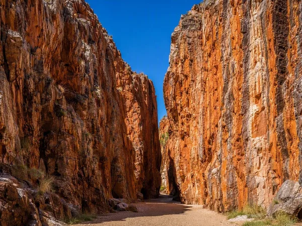 Van Alice Springs naar de kloven van Tjoritja
