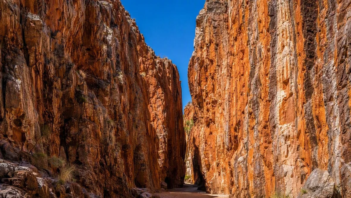 Van Alice Springs naar de kloven van Tjoritja