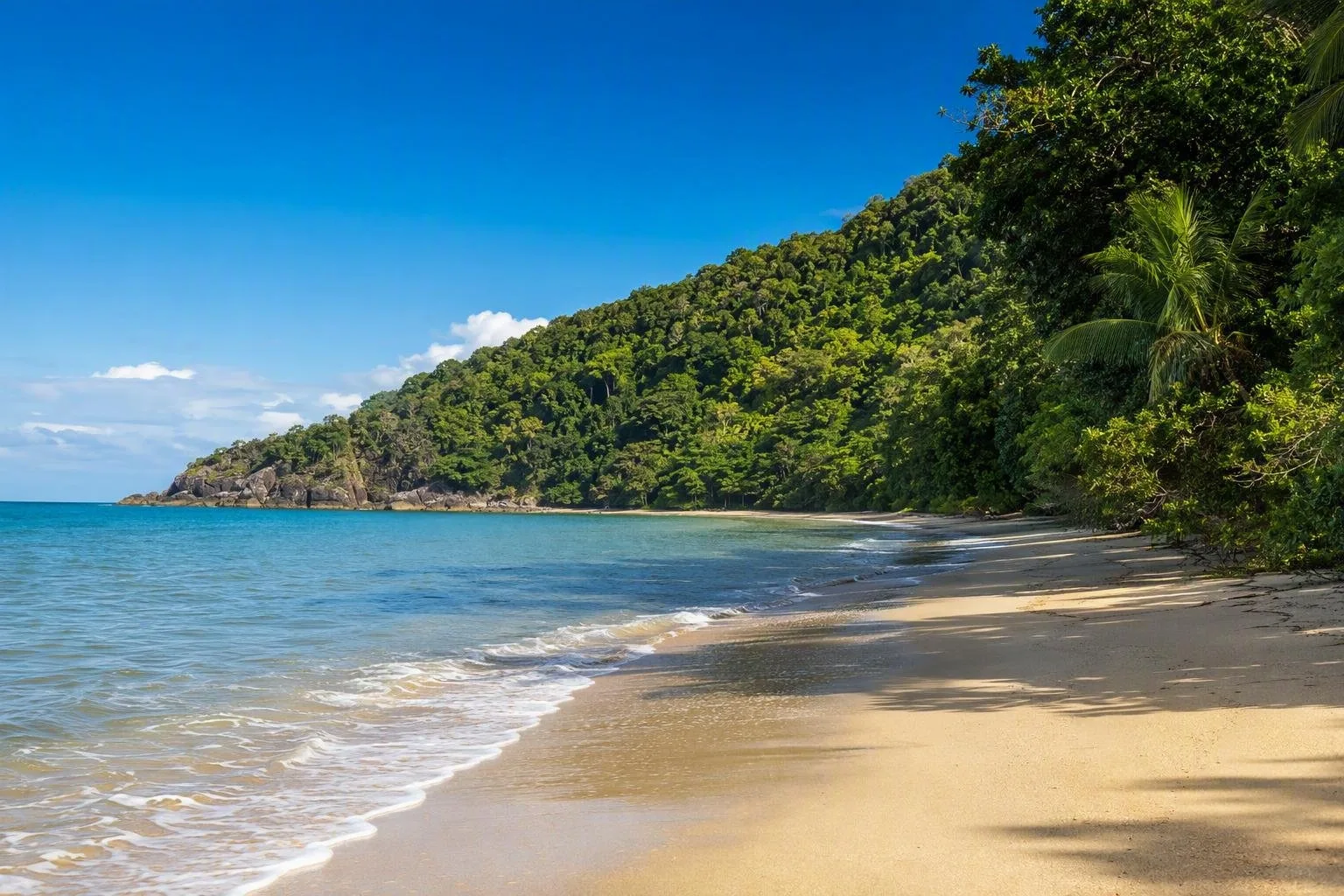 Cow Bay, Daintree Coast