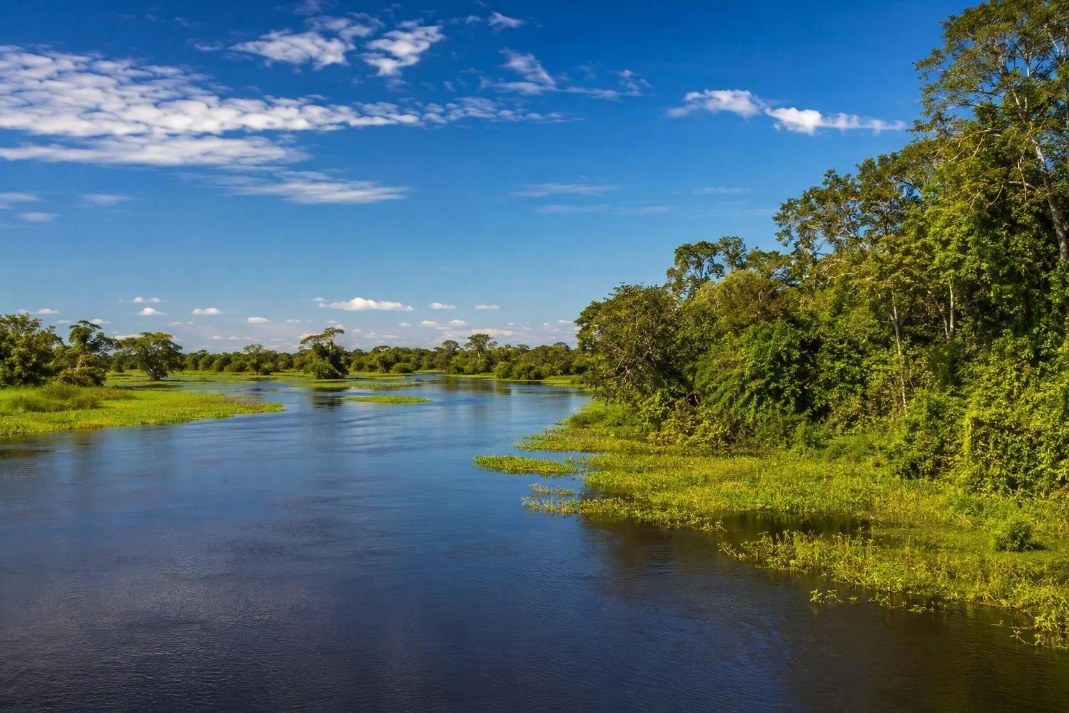 Pantanal, Brazilië