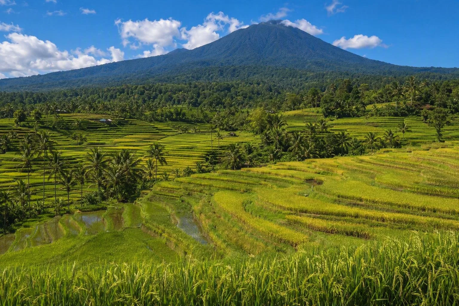 Bali