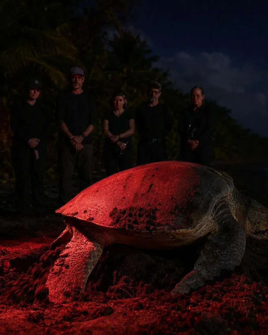 Met de boot naar het schildpaddenstrand van Tortuguero