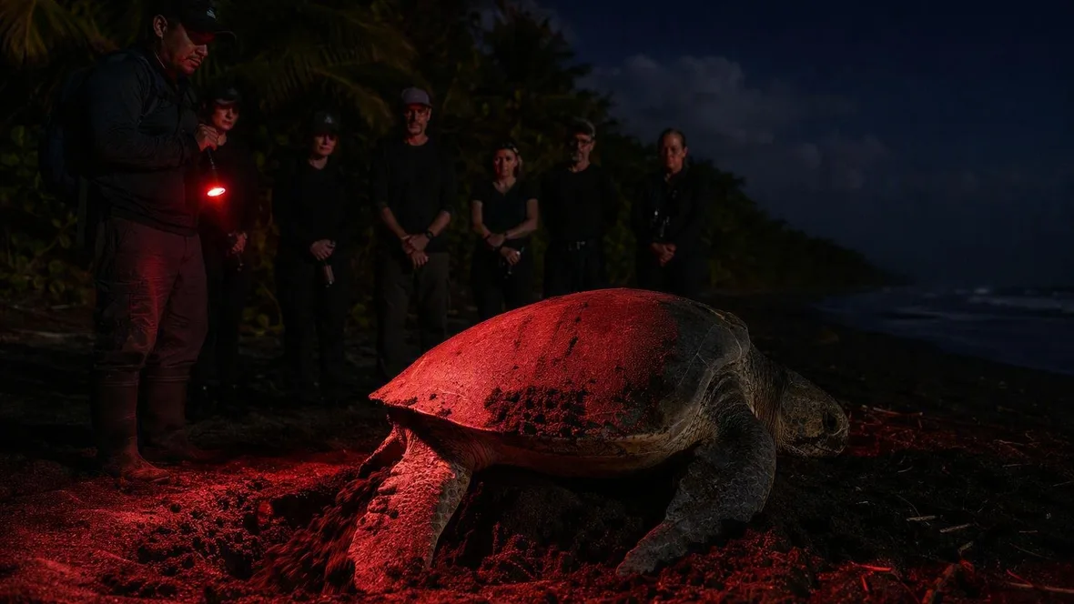 Met de boot naar het schildpaddenstrand van Tortuguero