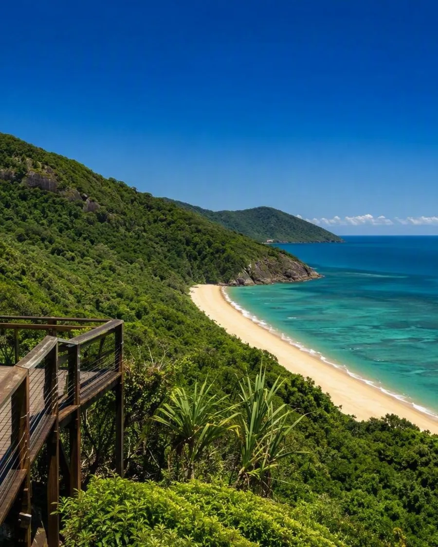 Door het Daintree-regenwoud naar Cape Tribulation