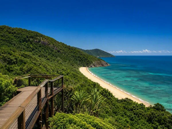 Door het Daintree-regenwoud naar Cape Tribulation