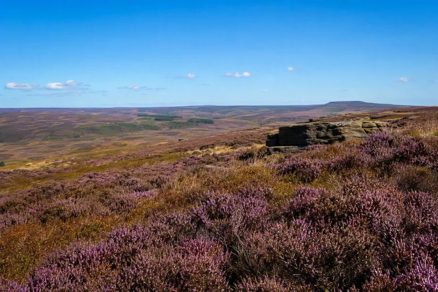 Met heide bedekte moorland strekt zich uit over een zandstenen plateau in North York Moors National Park.
