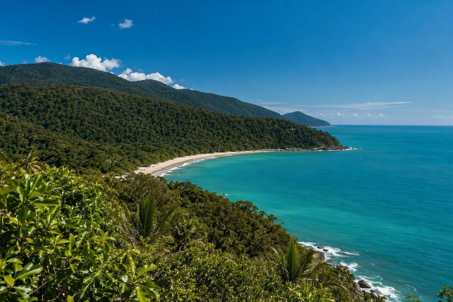 Cape Tribulation