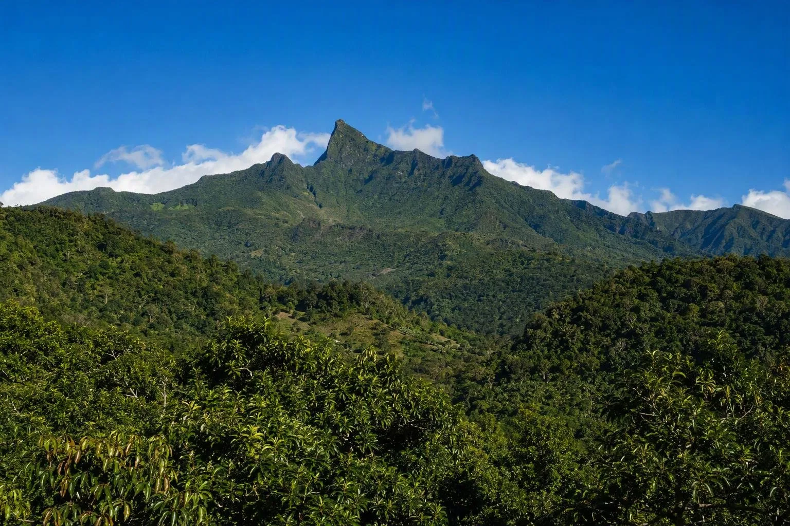 Anjouan
