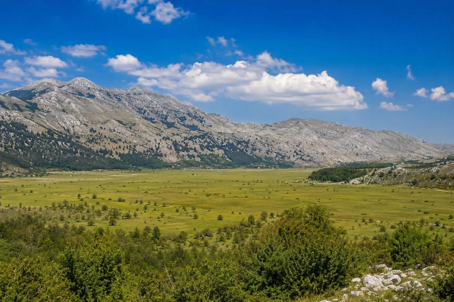 Cetinjsko polje