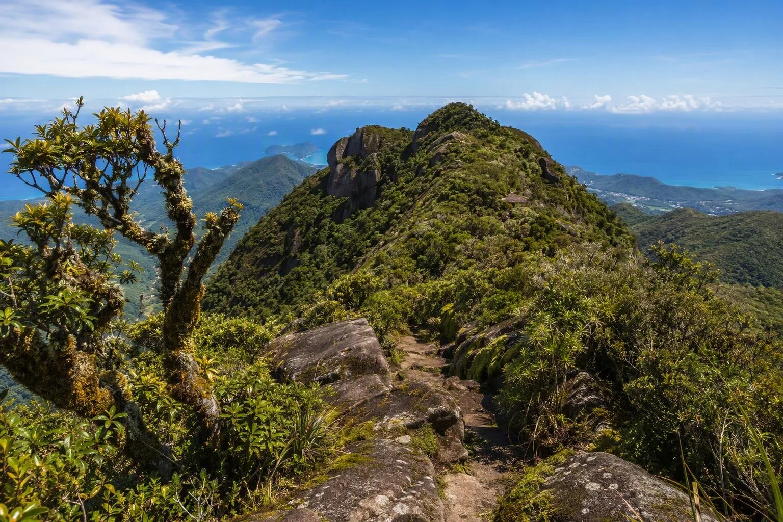 Morne Seychellois