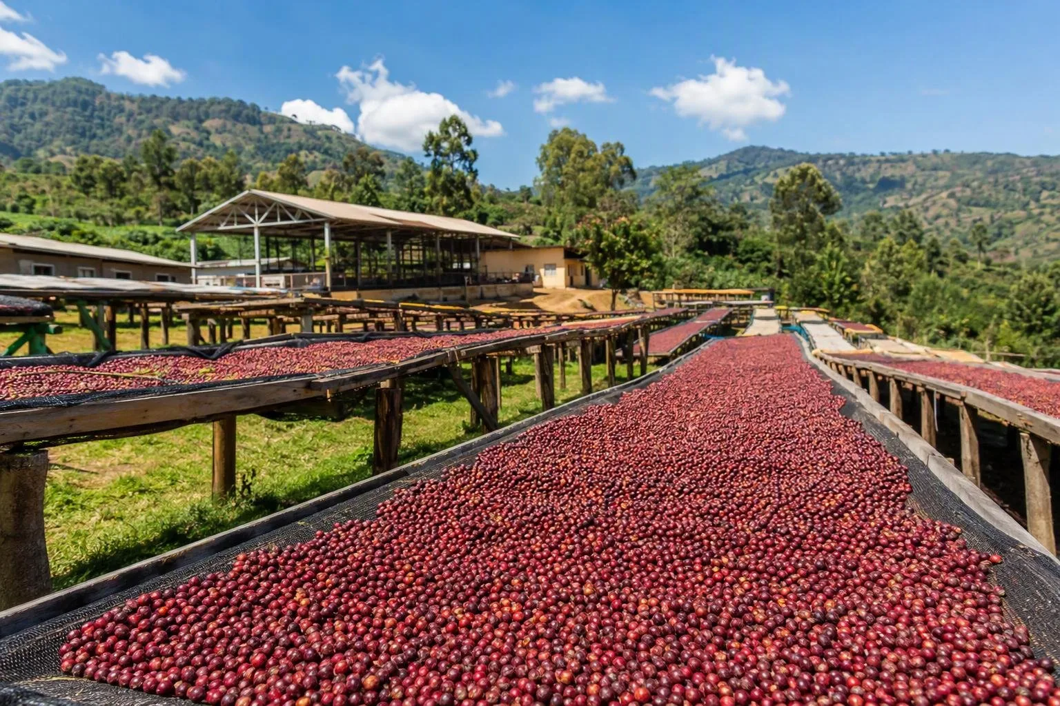 Kayumbu, Rwanda