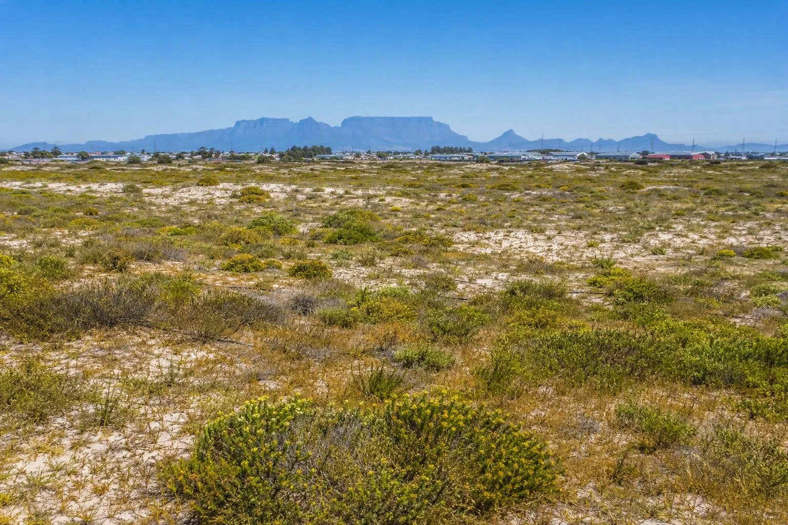 Kaapse Vlakte (Cape Flats)