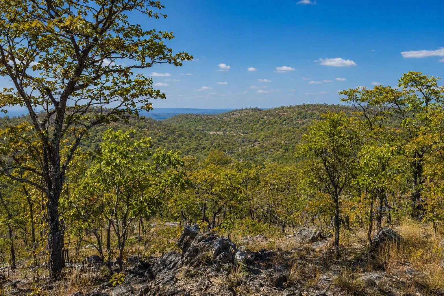 Forest Reserve 27 (Lusaka-Oost)