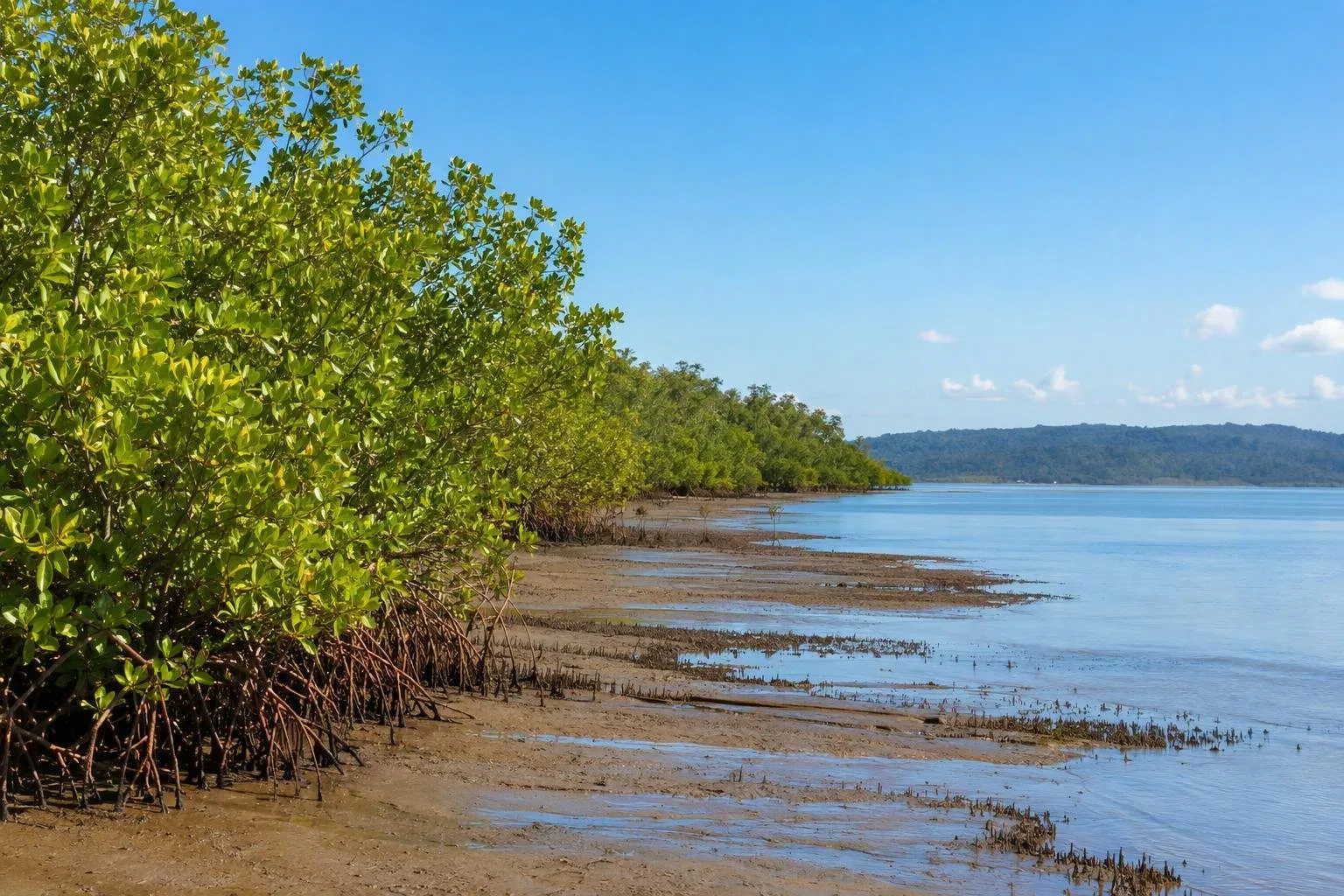 Corisco Bay