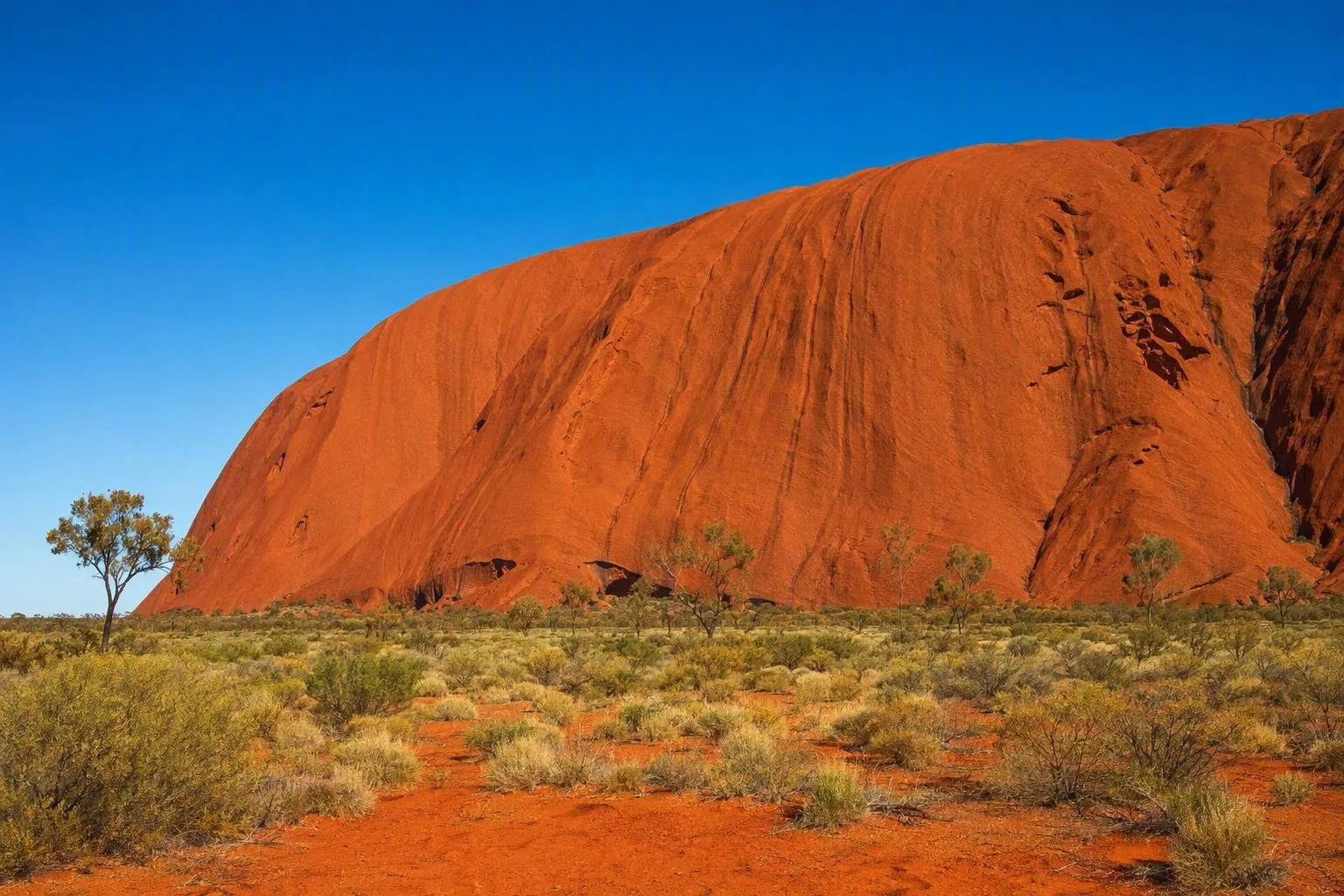 Uluṟu