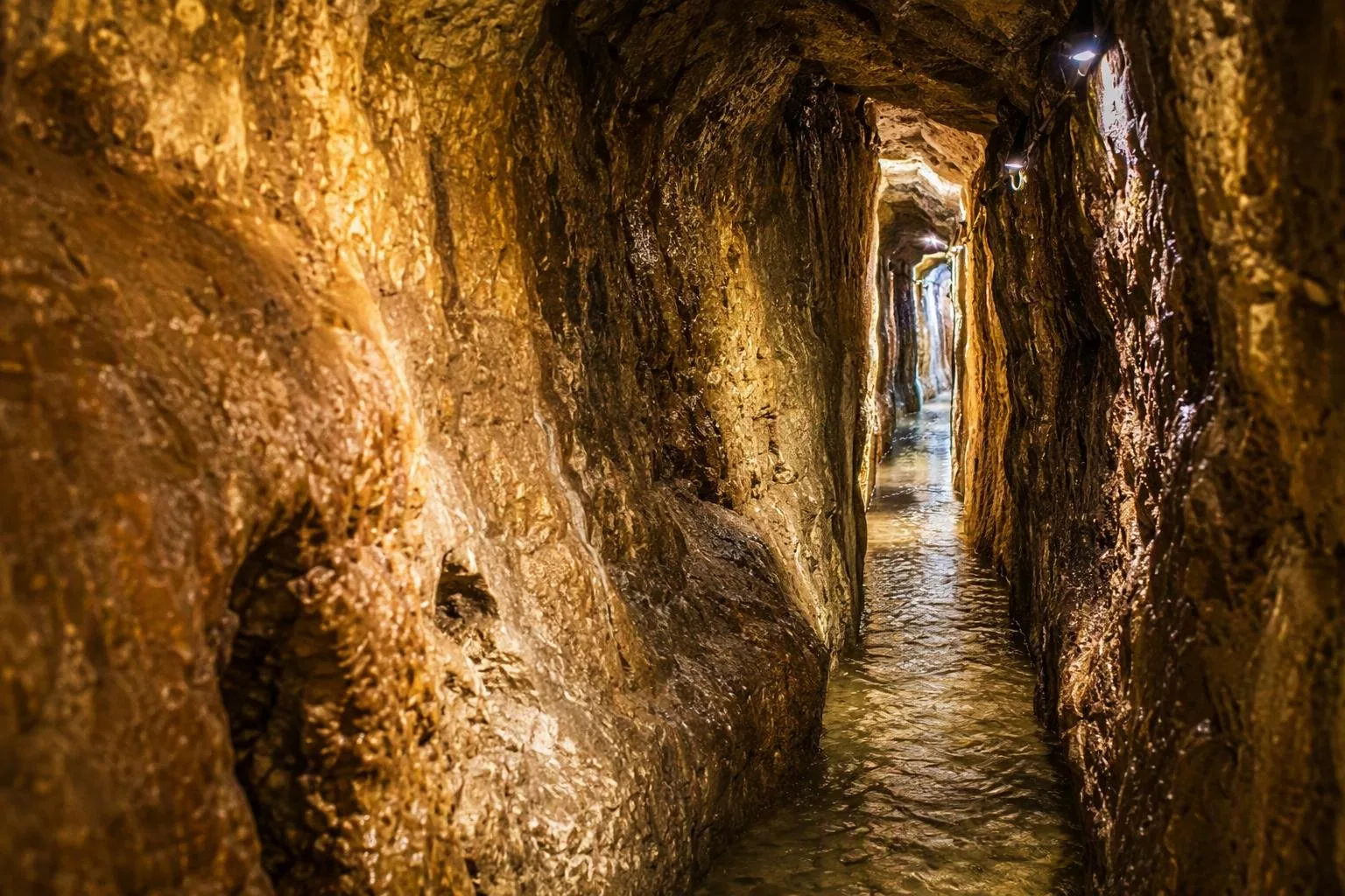 City of David