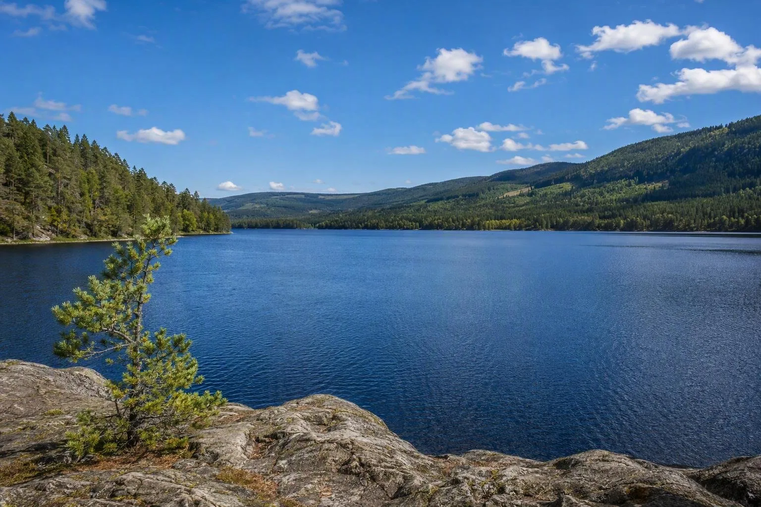 Maridalsvannet
