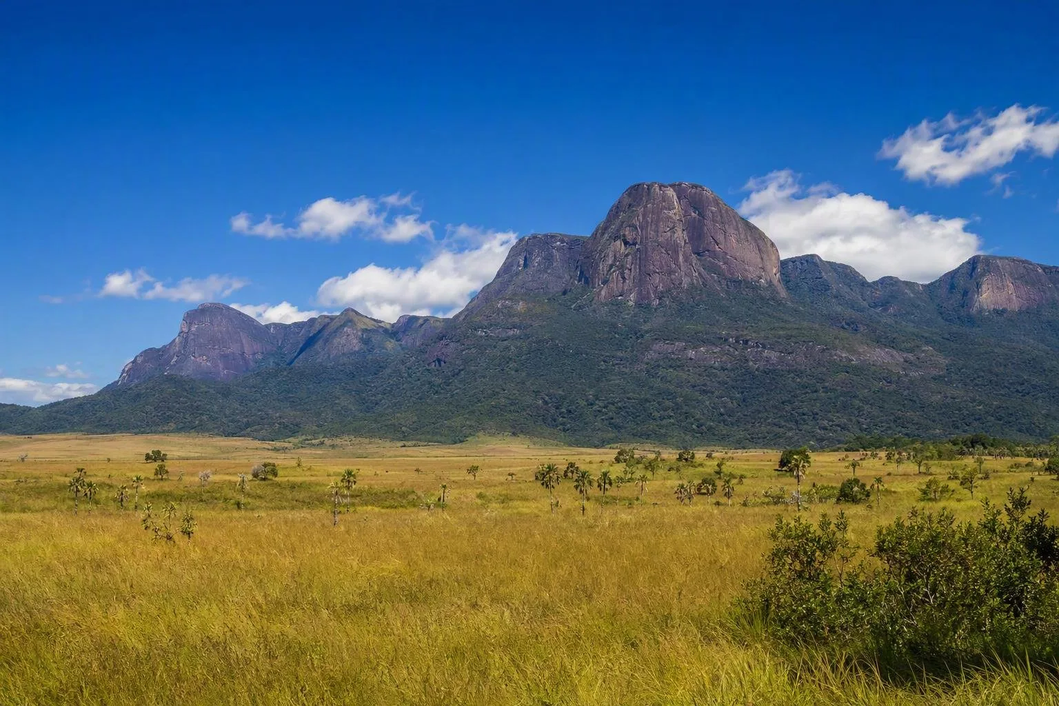 Rupununi