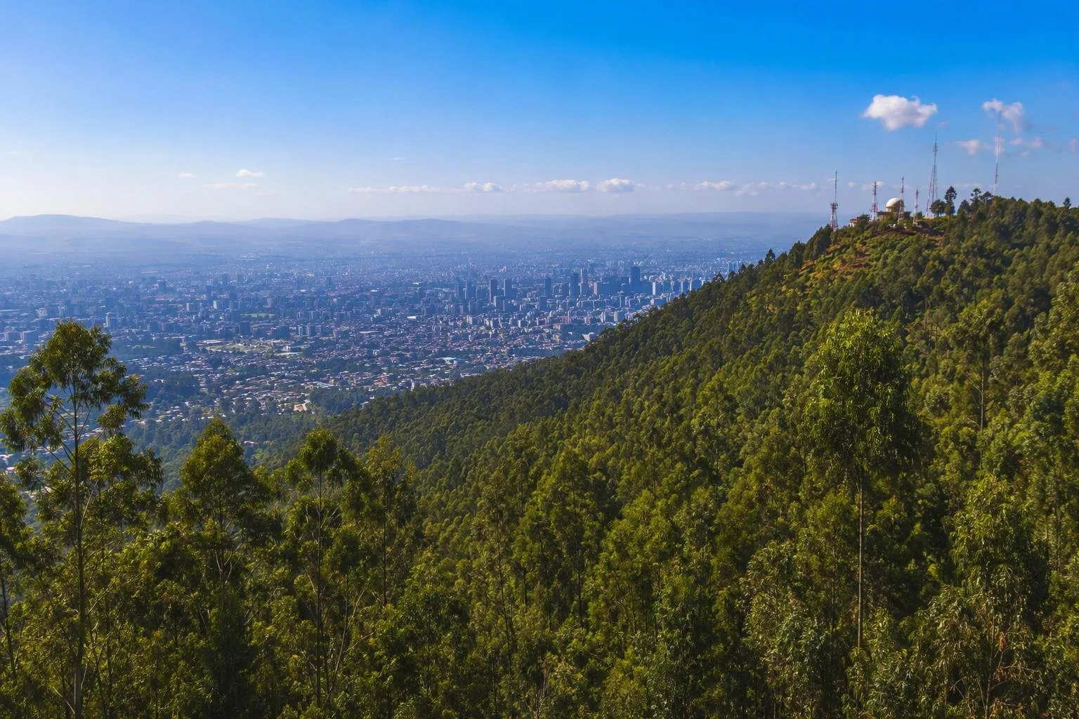 Addis Abeba