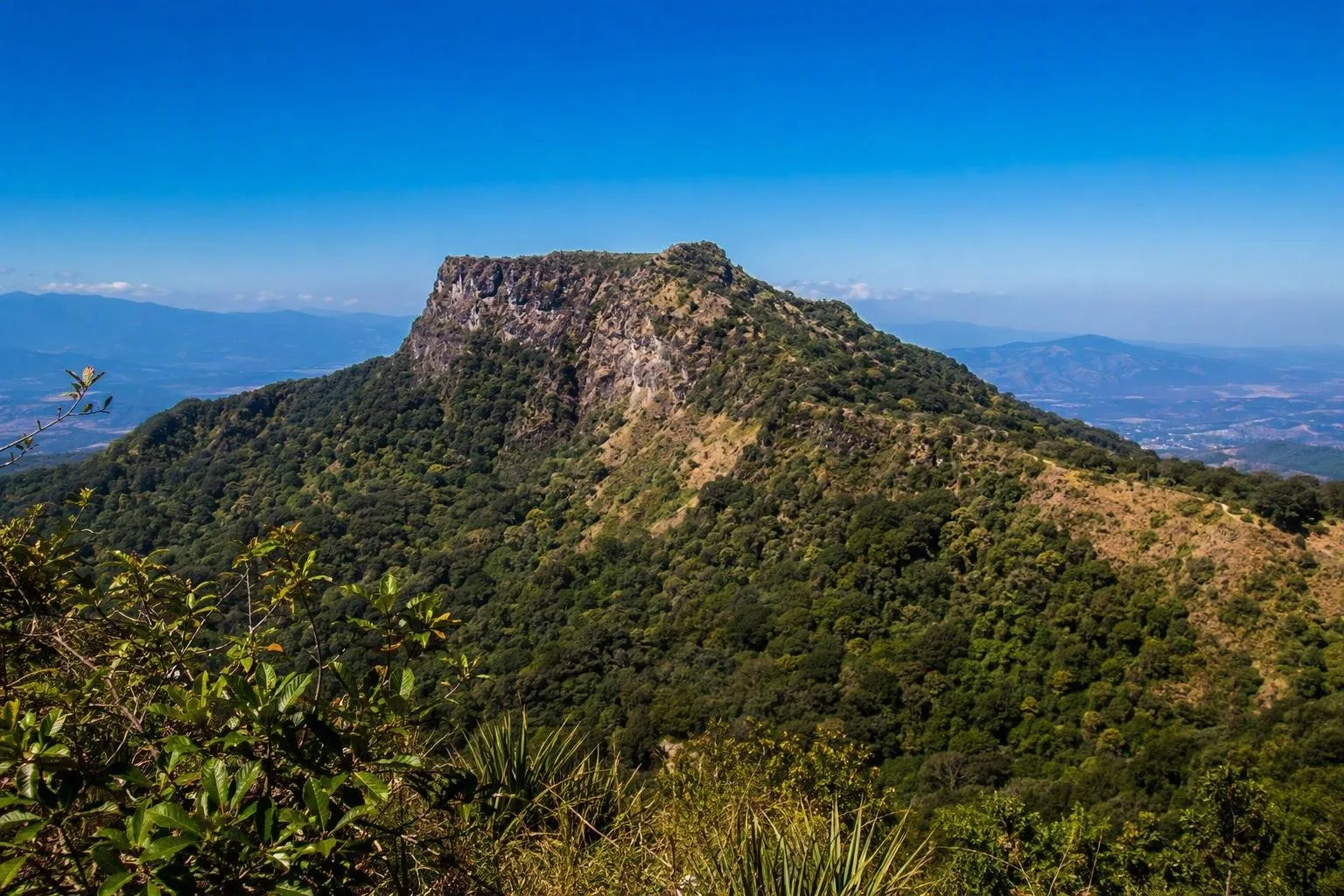 El Jabalí