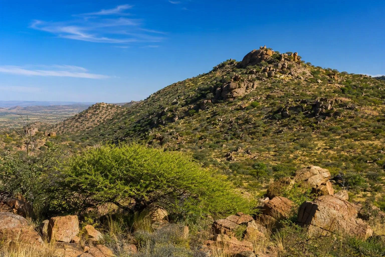 Daan Viljoen Nature Reserve