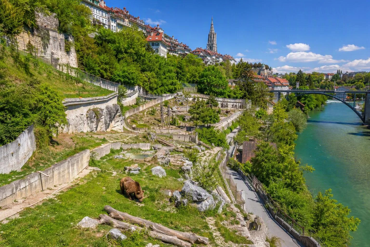BärenPark, Bern